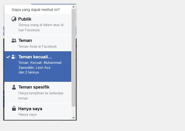 Menu Privasi Facebook