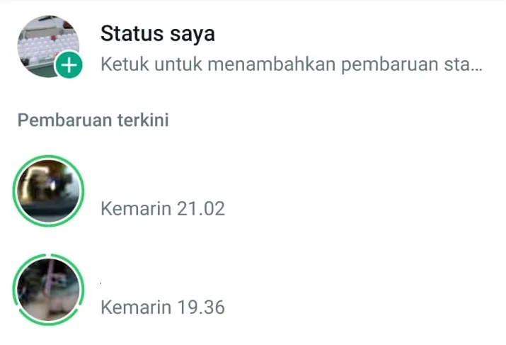 HP Kedua Tidak Bisa Melihat Status WA