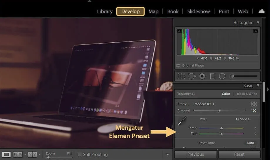 Atur Preset Elemen Lightroom PC