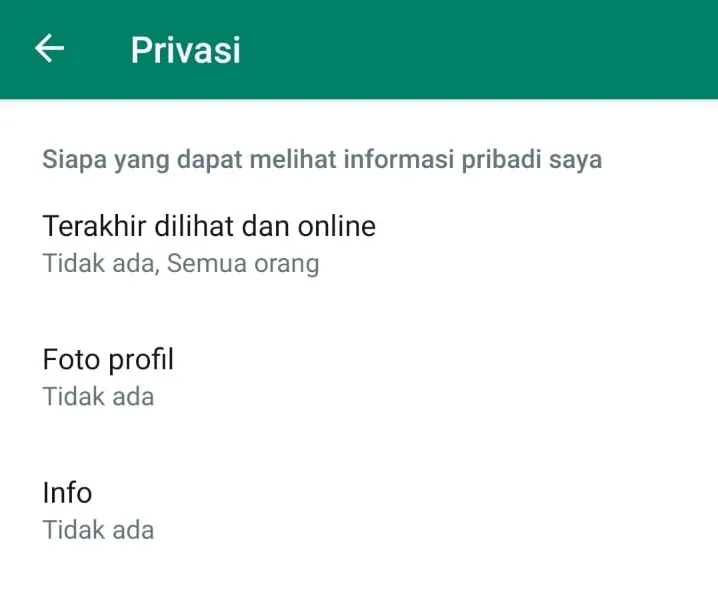 Menu Bagian Privasi WhatsApp
