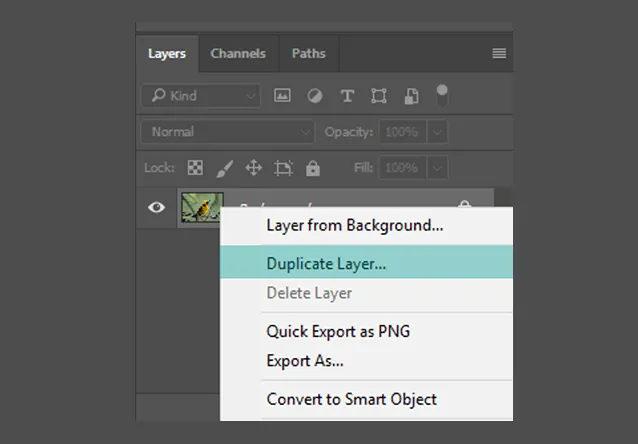 Opsi Duplicate Layer Photoshop