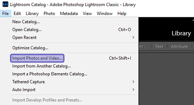 Opsi Import Lightroom