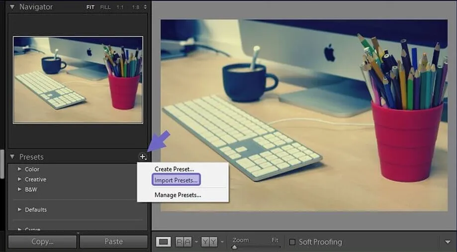 Opsi Import Preset Lightroom
