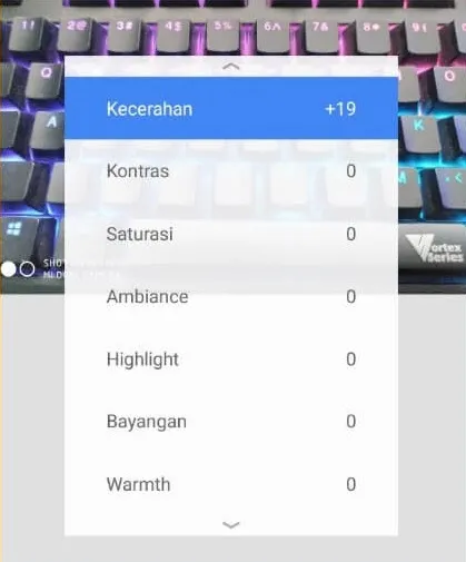 Menu Kecerahan Aplikasi Snapseed