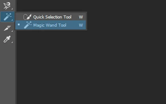 Opsi Magic Wand Tool