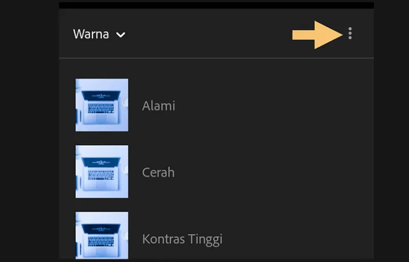 Pengaturan Lightroom HP