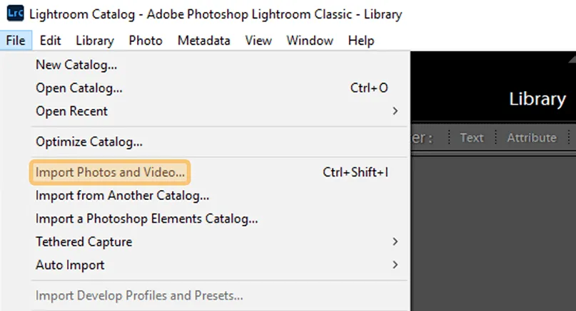 Menu Import Lightroom