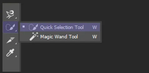 Quick Selection Tool Photoshop
