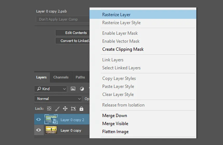 Rasterize Layer