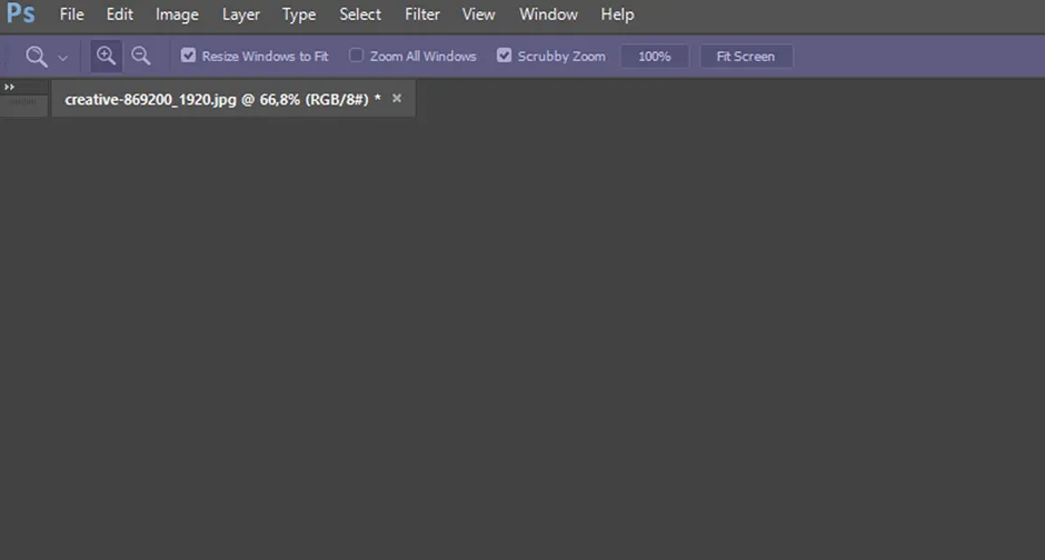 Option Bar di Zoom