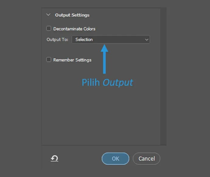 Setting Output Foto