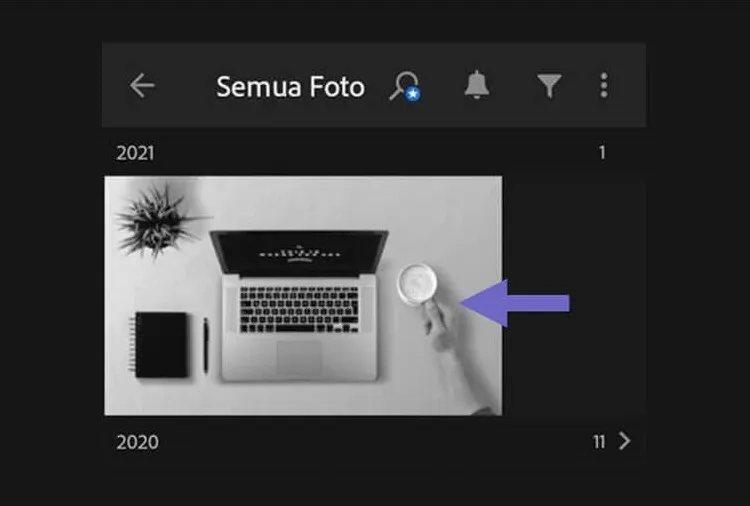 Memilih Objek di Lightroom HP