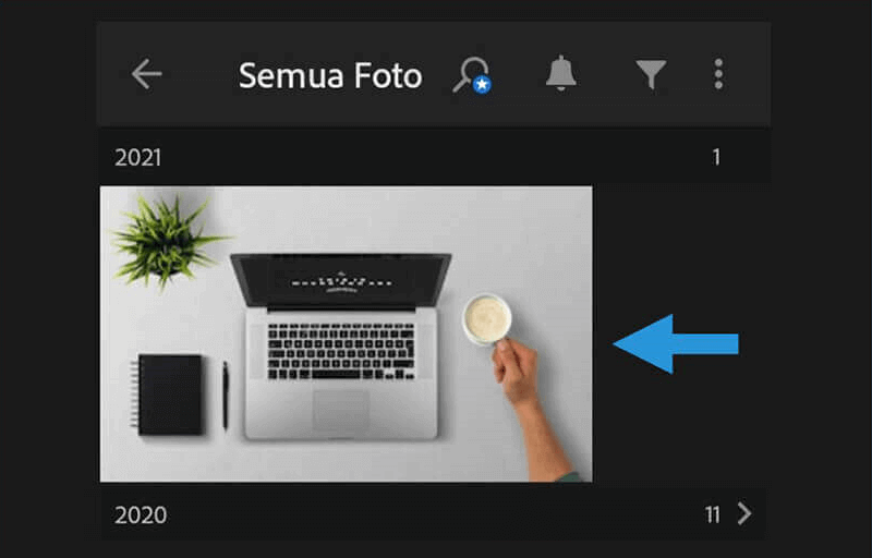 Pilih Foto di Lightroom