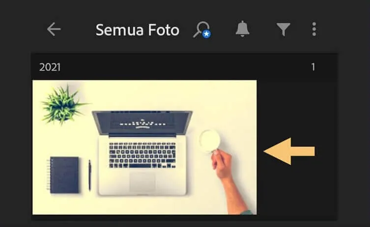 Memilih Gambar Lightroom HP