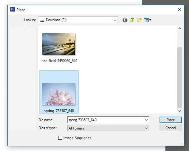 Place Gambar Photoshop