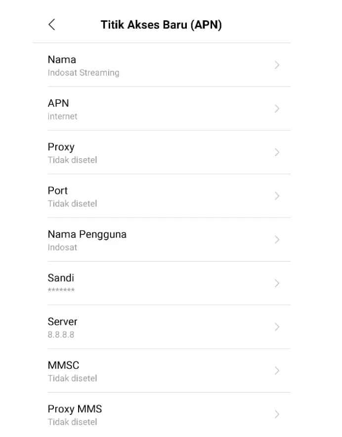 APN Streaming Indosat