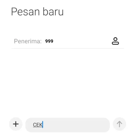 Pesan Cek di SMS