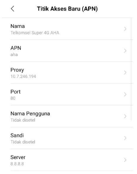 APN AHA Telkomsel