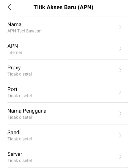 APN Bawaan Telkomsel