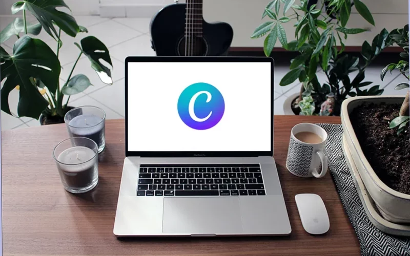 Cara Buat Video di Canva