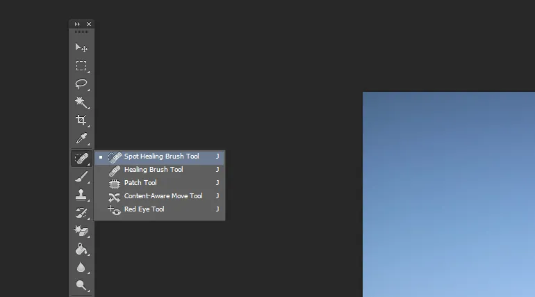 Spot Brush Tool