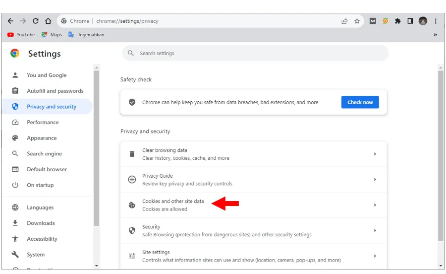 Menu Cookies Chrome