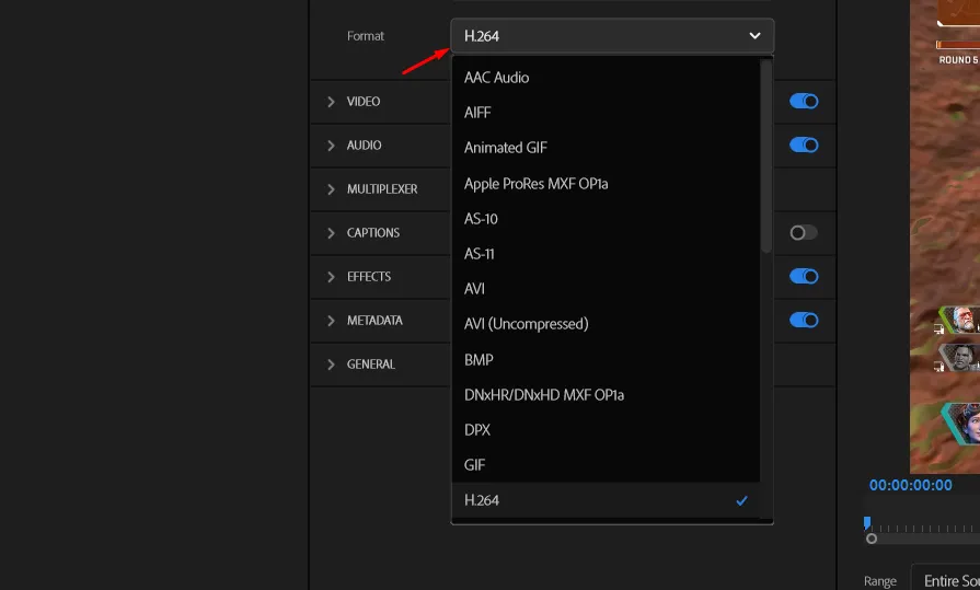 Setting Format Export